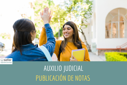 Notas de Auxilio Judicial (OEP 2020-21-22)